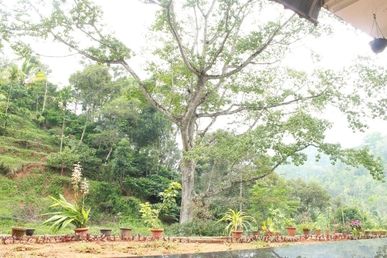 The Mountcourt Hotel Munnar Exterior foto